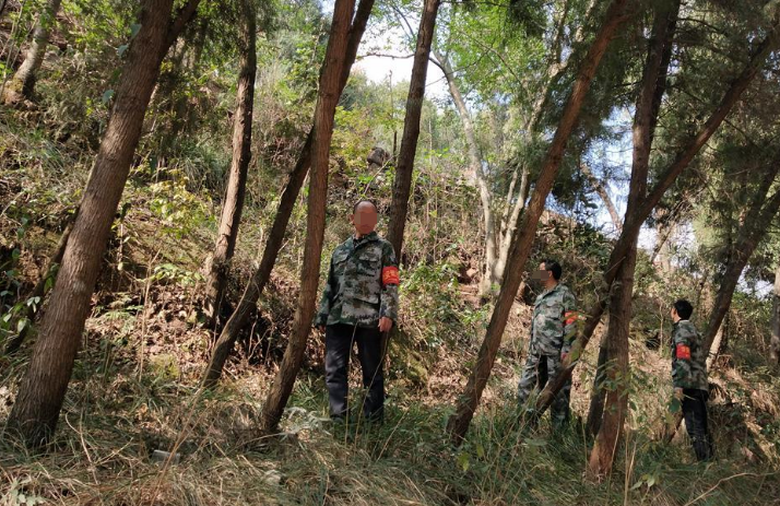 无人机应用如何在林区巡逻大展身手?(图1) 无人机应用如何在林区巡逻大展身手?(图1)