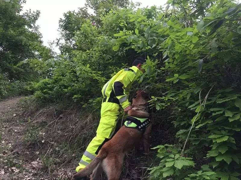 无人机精准救援解救深山迷路游客(图1) 无人机